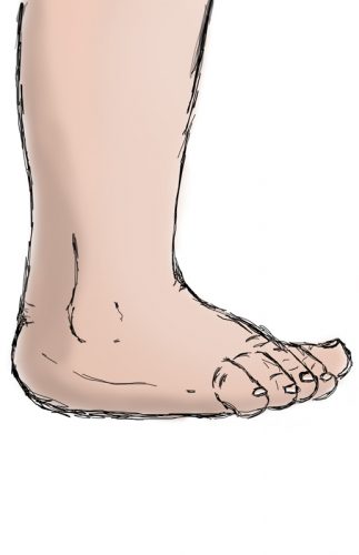 stopa, ruchy stopy, pozycja neutralna, górny staw skokowy, ankle joint, neutral position, the movement in ankle joint,